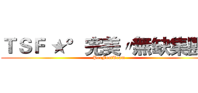 ＴＳＦ ★°完美〃無缺集團〃 (PerFectTeam)