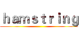 ｈａｍｓｔｒｉｎｇ ()