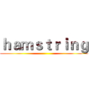 ｈａｍｓｔｒｉｎｇ ()