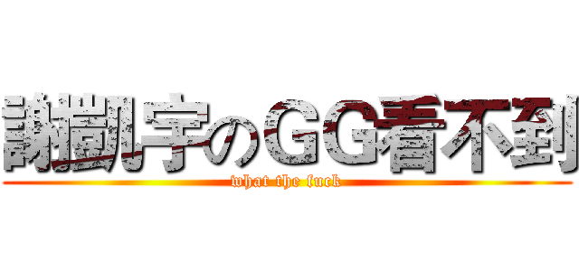 謝凱宇のＧＧ看不到 (what the fuck)