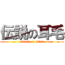 伝説の耳毛 (attack on titan)