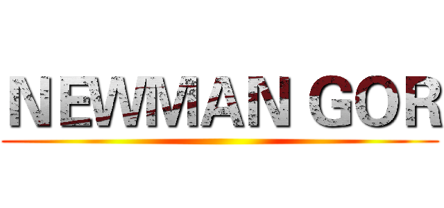 ＮＥＷＭＡＮ ＧＯＲ ()
