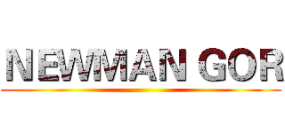 ＮＥＷＭＡＮ ＧＯＲ ()