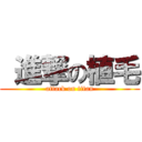  進撃の植毛 (attack on titan)