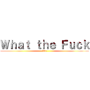 Ｗｈａｔ ｔｈｅ Ｆｕｃｋ (Wtf)