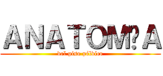 ＡＮＡＴＯＭÍＡ (del piso pélvico)