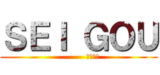 ＳＥＩ ＧＯＵ (           セイゴウ)