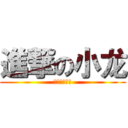 進撃の小龙 (流星调查兵团)