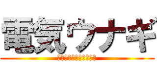 電気ウナギ (アドルフ　ラインハルト)