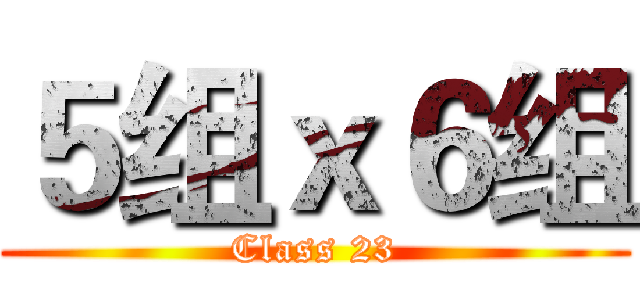 ５组ｘ６组 (Class 23)