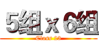 ５组ｘ６组 (Class 23)