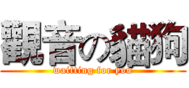 觀音の貓狗 (waitting for you)