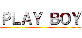 ＰＬＡＹ ＢＯＹ ()