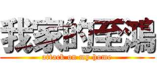 我家的至鴻 (attack on my home)