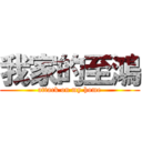 我家的至鴻 (attack on my home)