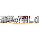 進撃の关羽Ｌｄ (attack on titan)