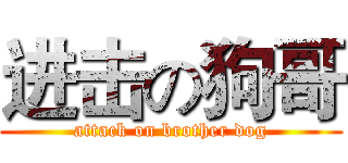 进击の狗哥 (attack on brother dog)