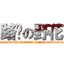 路边の野花 (Iron&chrysanthemum is the opposition parties)