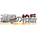 進擊の柏岳 ()