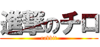 進撃のチロ (rabbit)