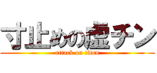 寸止めの虚チン (attack on titan)