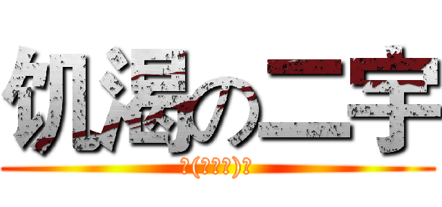 饥渴の二宇 (╮(╯▽╰)╭)