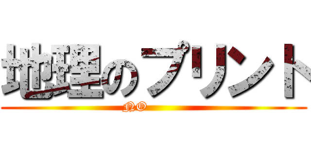 地理のプリント (NO        )