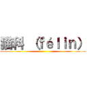 猫科 （ｆéｌｉｎ） ()