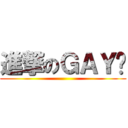進撃のＧＡＹ鸾 ()