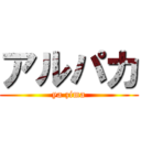 アルパカ (ya zima)