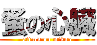 蚤の心臓 (attack on mikuo)