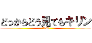 どっからどう見てもキリン (※チーターです)
