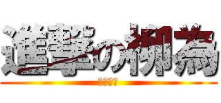 進撃の柳為 (打敗有機)
