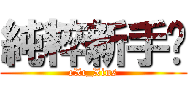 純粹新手™ (eXc_Xins)