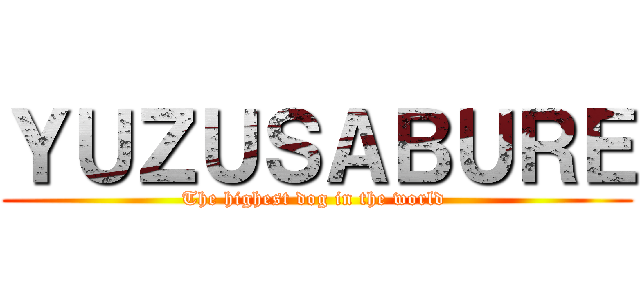 ＹＵＺＵＳＡＢＵＲＥ (The highest dog in the world )