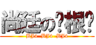 尚廷の哪根蔥 (BJ4  BJ4  BJ4)