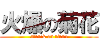火爆の菊花 (attack on titan)
