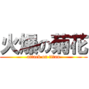 火爆の菊花 (attack on titan)