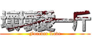 壞壞愛一斤 (Forever Love)