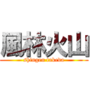 風林火山 (shingen takeda)