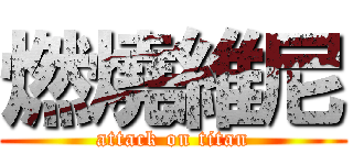 燃燒維尼 (attack on titan)
