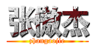 张傲杰 (zhangaojie)