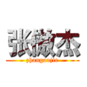 张傲杰 (zhangaojie)