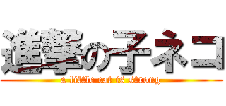 進撃の子ネコ (a little cat is strong)