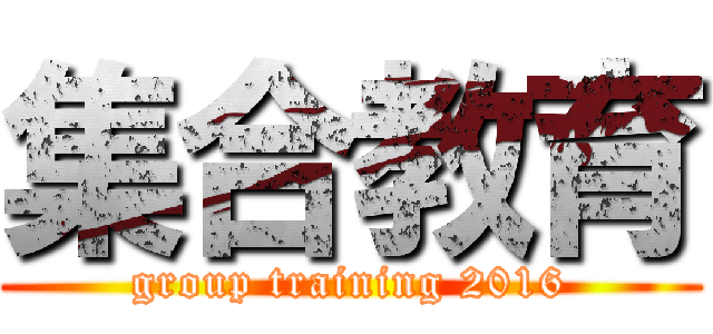 集合教育 (group training 2016)