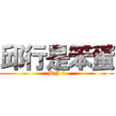 邱行是笨蛋 (B J 4)