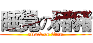 睡覺の豬豬 (attack on titan)