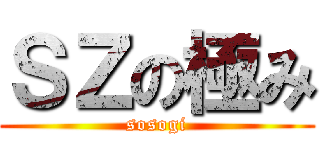 ＳＺの極み (sosogi)