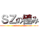 ＳＺの極み (sosogi)