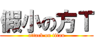 假小の方Ｔ (attack on titan)